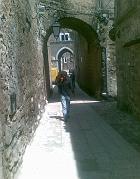 exodus caserta (14)